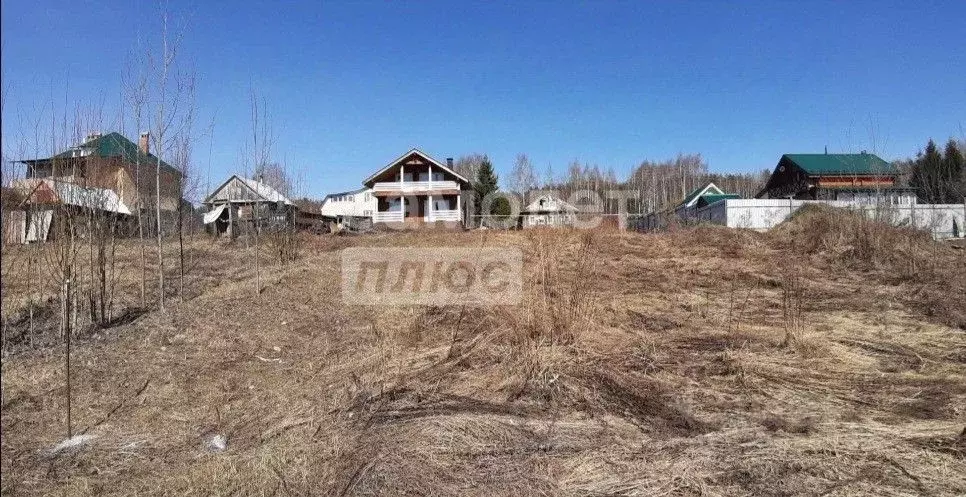 Участок в Нижегородская область, Сокольский городской округ, д. ... - Фото 1