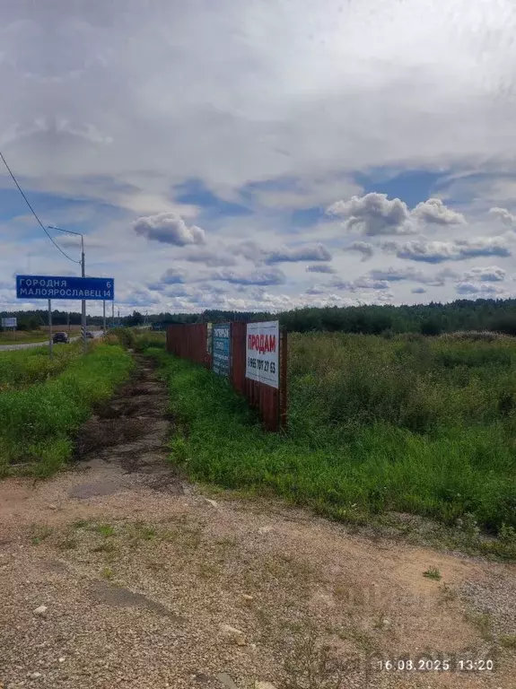 Участок в Калужская область, Совхоз Боровский с/пос, д. Тимашово ул. ... - Фото 2