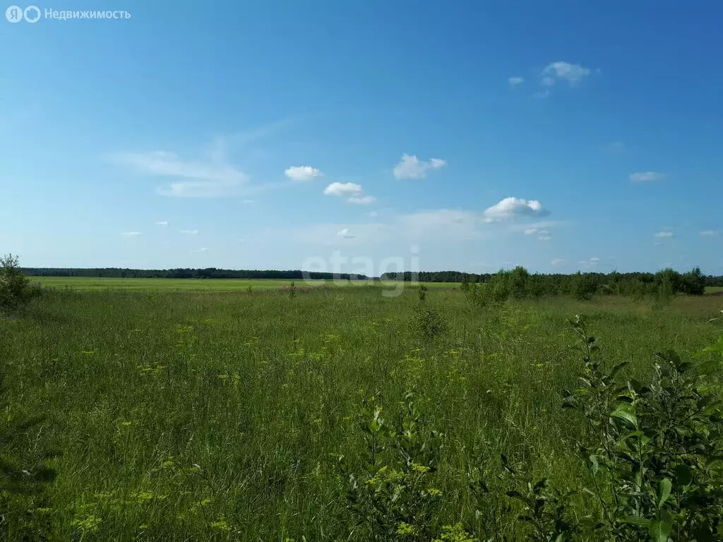 Участок в Томский район, село Корнилово (9.3 м) - Фото 1