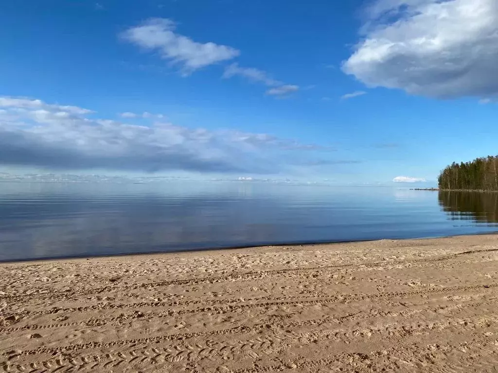 Дом в Ленинградская область, Приозерский район, Ларионовское с/пос, ... - Фото 1