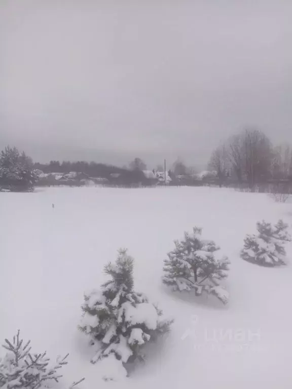 Участок в Московская область, Павлово-Посадский городской округ, д. ... - Фото 0