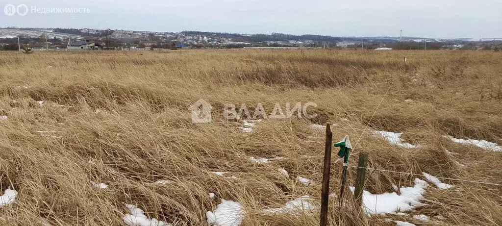 Участок в Белгородский район, Никольское сельское поселение, село ... - Фото 1