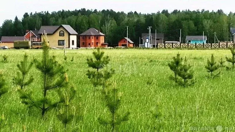 Участок в Тюменская область, Тюменский муниципальный округ, с. ... - Фото 1