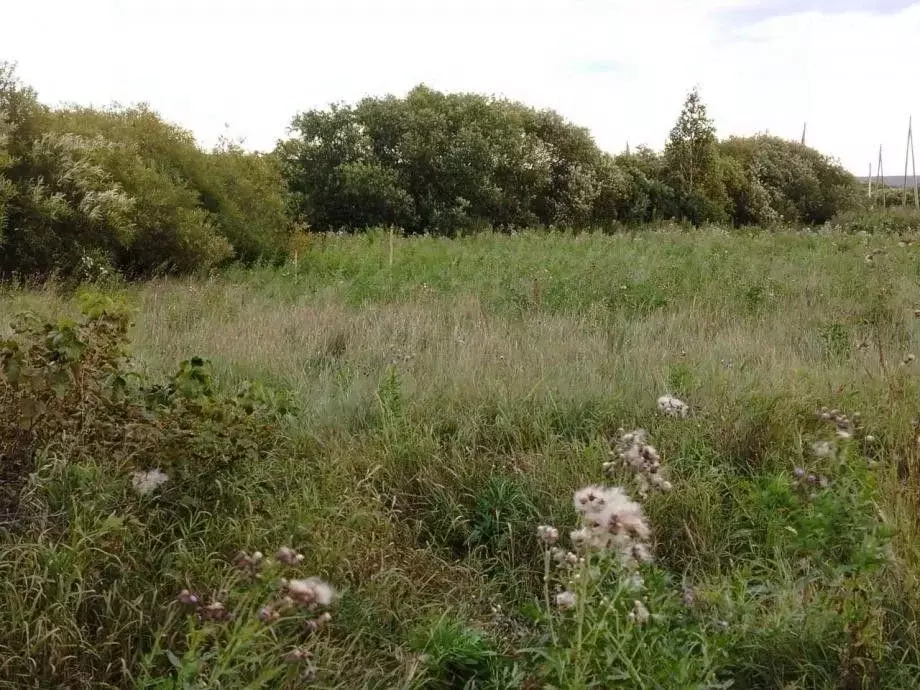 Участок в Красноярский край, Емельяново пгт ул. Заречная (10.5 сот.) - Фото 1