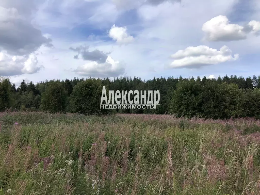 Участок в Карелия, Лахденпохский муниципальный округ, пос. Асилан  ... - Фото 1