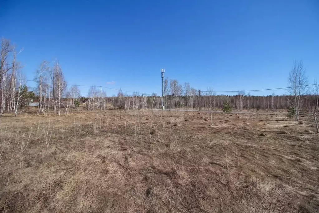 Участок в Алтайский край, Первомайский район, с. Фирсово, Рощино мкр ... - Фото 1