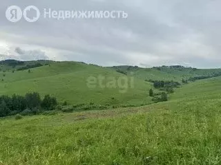 Участок в Алтайский район, ДНТ Жемчужина Алтая, 4-й Западный проезд ... - Фото 1