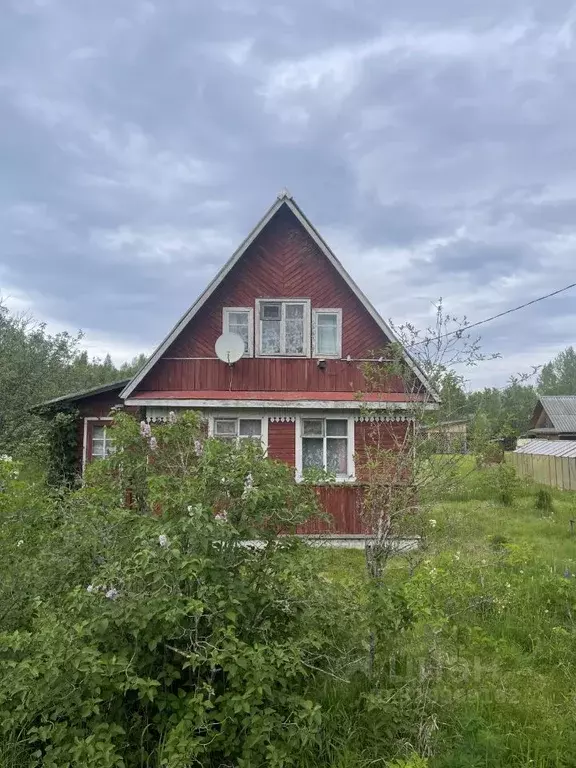 Дом в Ленинградская область, Гатчинский район, Чаща садоводческий ... - Фото 1