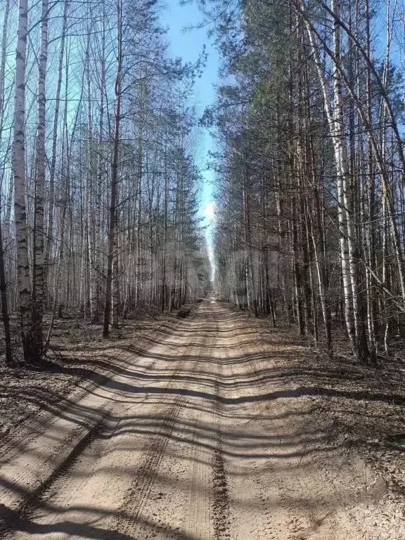 Участок 2,7 га (СНТ, ДНП) - Фото 1