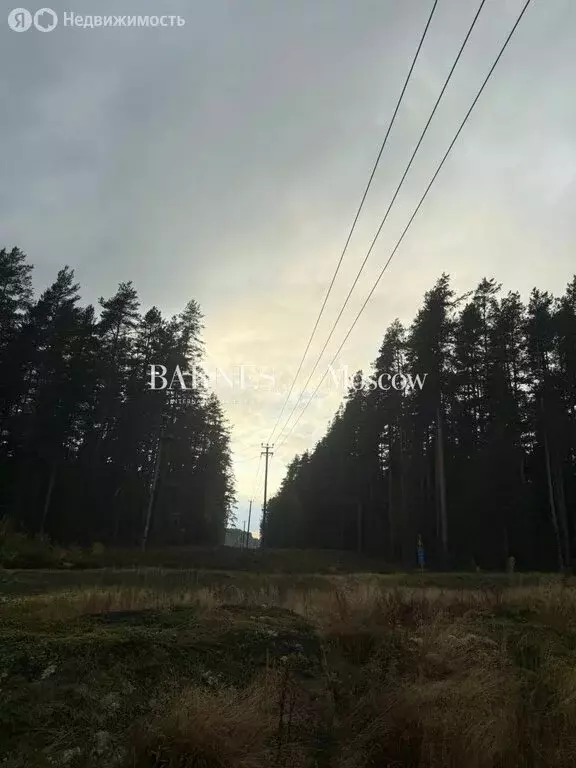 Участок в Выборгский район, Рощинское городское поселение, территория ... - Фото 2