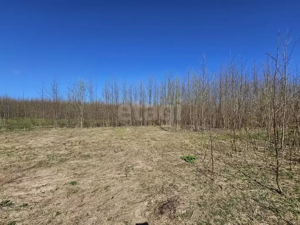 Участок в Коми, Сыктывдинский район, с. Выльгорт  (11.4 сот.) - Фото 1