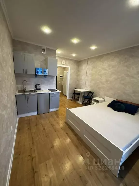 Студия Санкт-Петербург бул. Александра Грина, 3 (24.0 м) - Фото 1