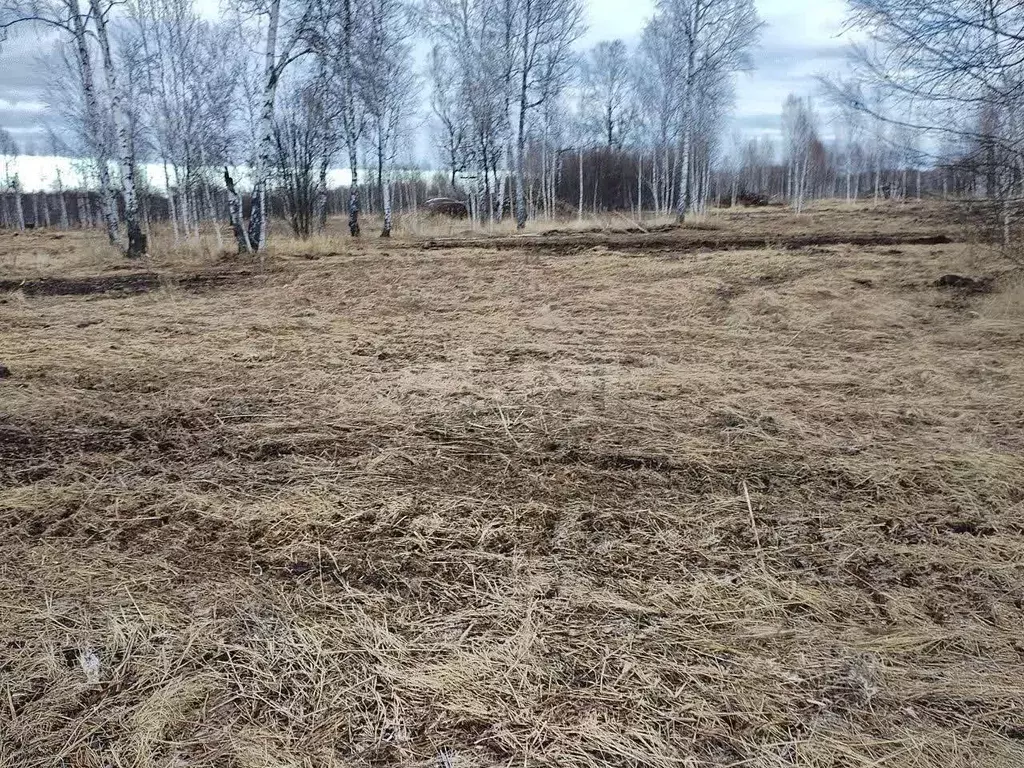 Участок в Тюменская область, Нижнетавдинский муниципальный округ, ... - Фото 1