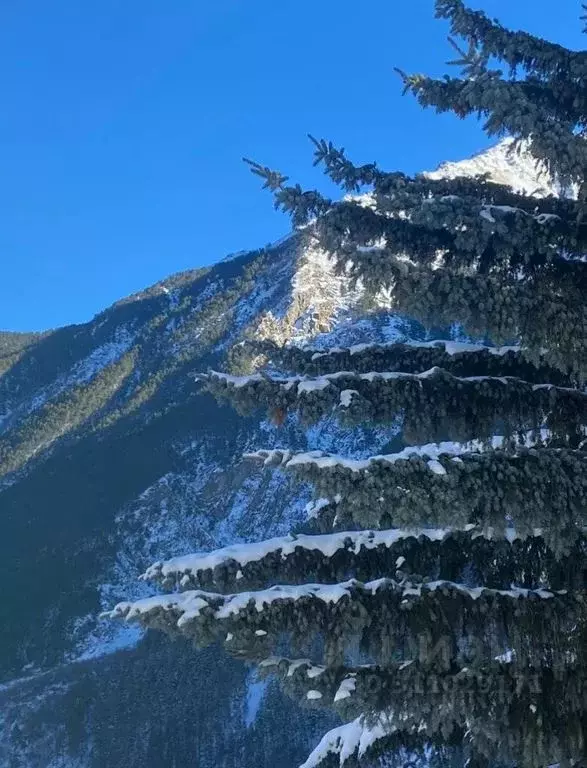 2-к кв. Кабардино-Балкария, Эльбрусский район, с. Нейтрино ул. ... - Фото 1