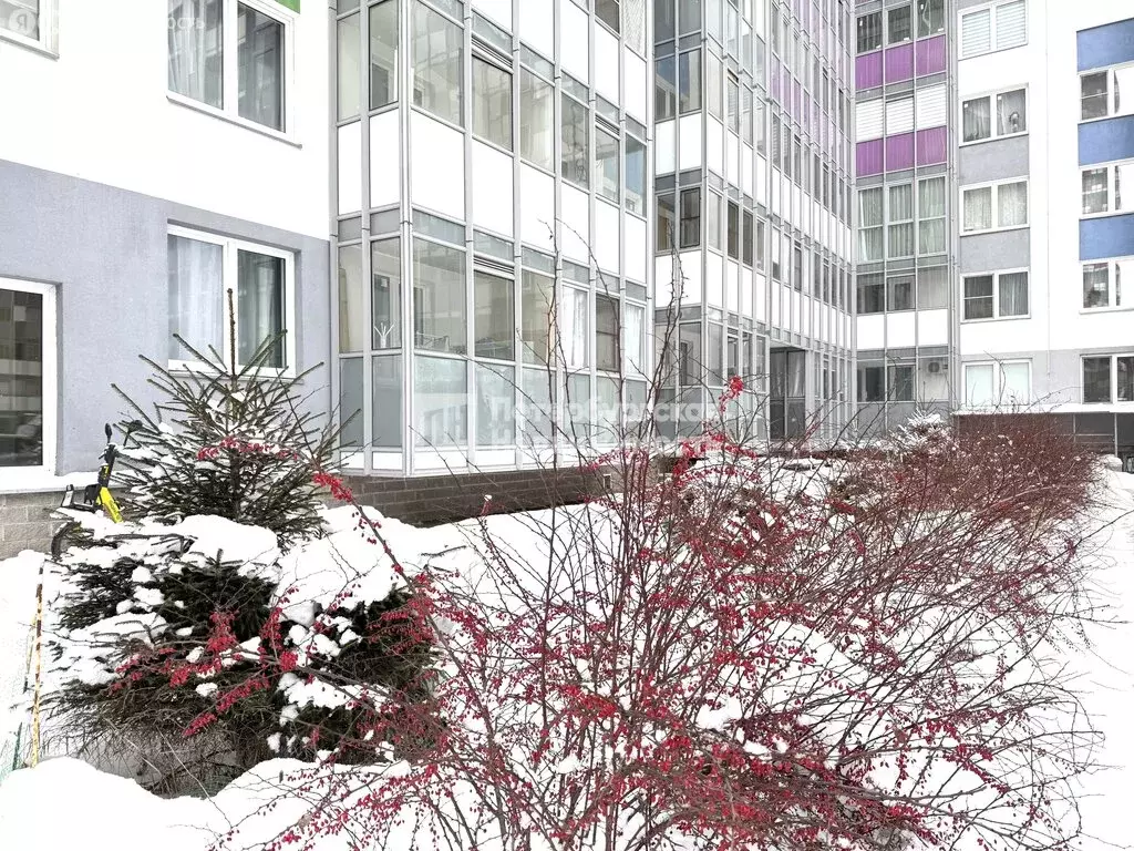 Квартира-студия: Кудрово, Английская улица, 2 (21.5 м) - Фото 2