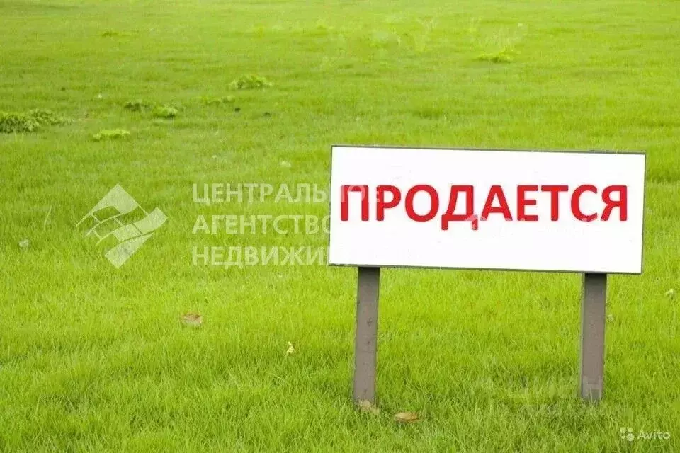 Участок в Рязанская область, Рыбновский муниципальный округ, Вагонник ... - Фото 1