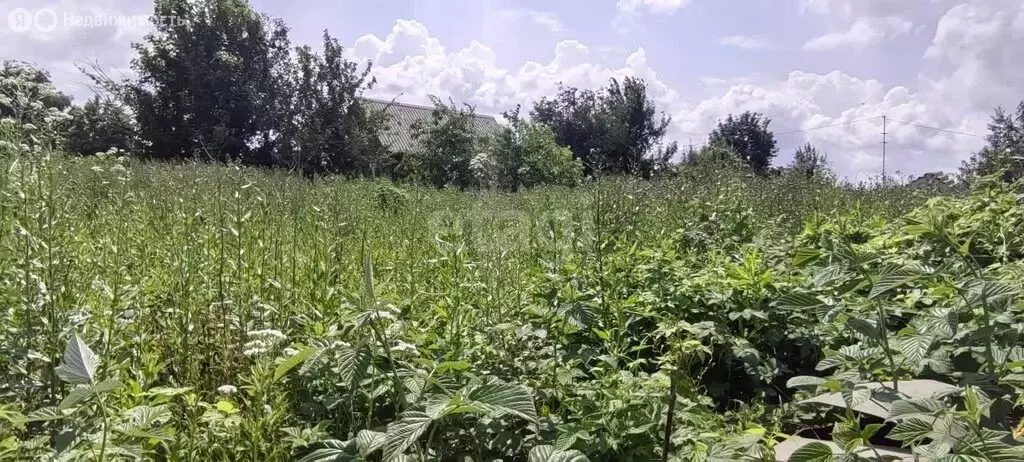 Участок в Малиновский сельсовет, СО Юбилейное (4.5 м) - Фото 1