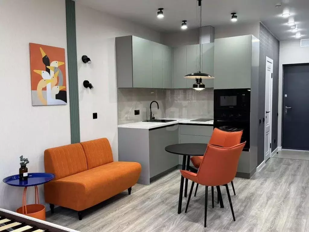 Студия Кемеровская область, Кемерово Ленинградский просп., 44 (27.1 м) - Фото 0