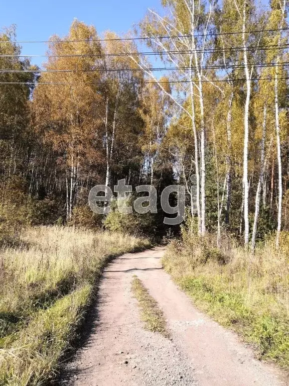 Участок в Калужская область, Бабынинский муниципальный округ, ... - Фото 1