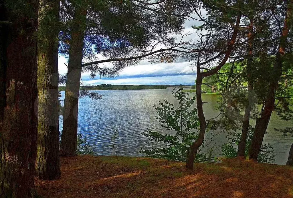 Купить Участок У Воды В Новосибирске