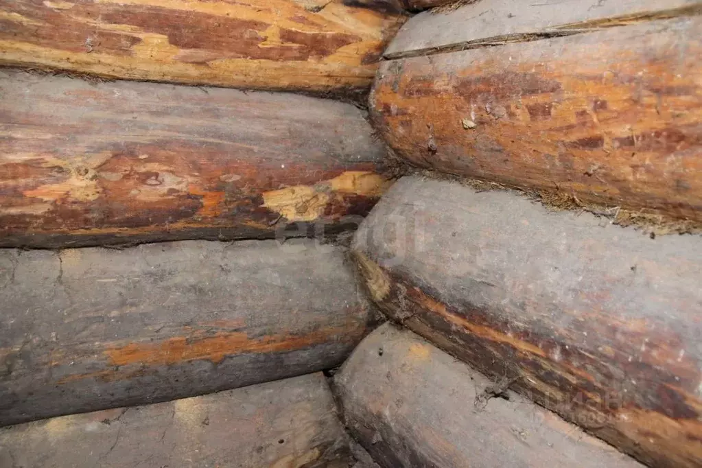 Дом в Красноярский край, Емельяновский муниципальный округ, с. ... - Фото 1