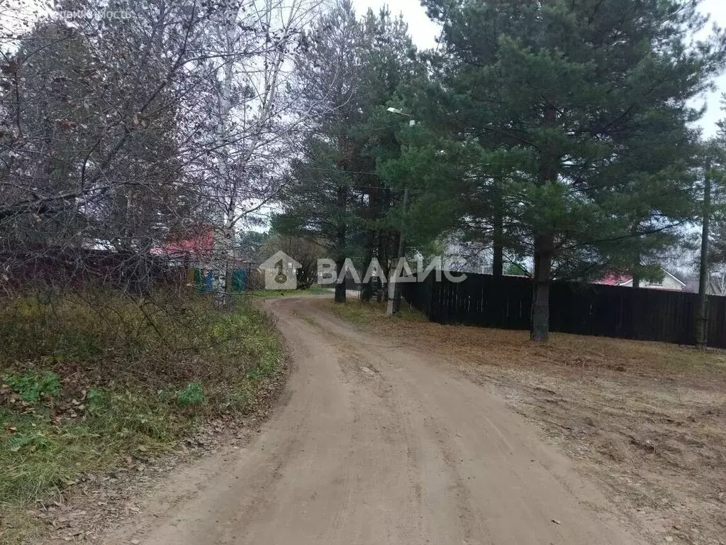 Участок в Нижегородская область, городской округ Бор, деревня Рябинки, ... - Фото 1