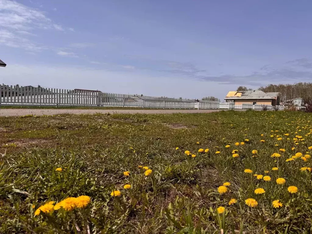 Участок в Омская область, Омский район, с. Красноярка  (13.33 сот.) - Фото 2