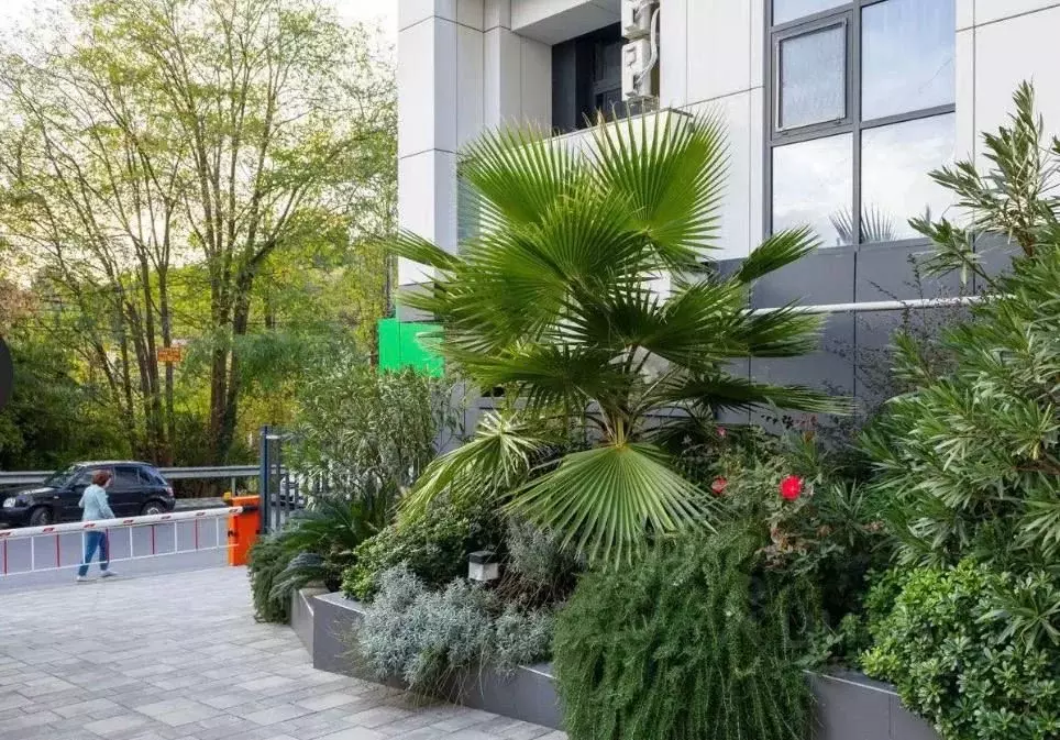 1-к кв. Краснодарский край, Сочи ул. Яна Фабрициуса, 2/17 (49.8 м) - Фото 1