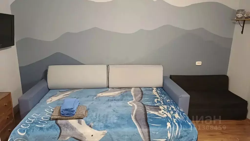 Студия Челябинская область, Миасс бул. И.И. Седова, 7 (26.0 м) - Фото 2