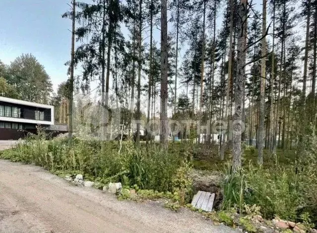 Участок в Ленинградская область, Всеволожский район, Токсовское ... - Фото 0