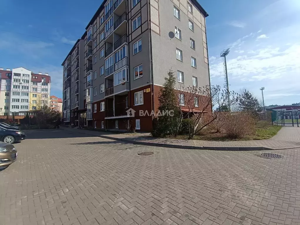 1-к кв. Калининградская область, Светлогорск Яблоневая ул., 11 (36.6 ... - Фото 2