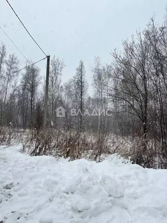 Участок в Татарстан, с. Высокая Гора ул. Татарстан (10.71 сот.) - Фото 2