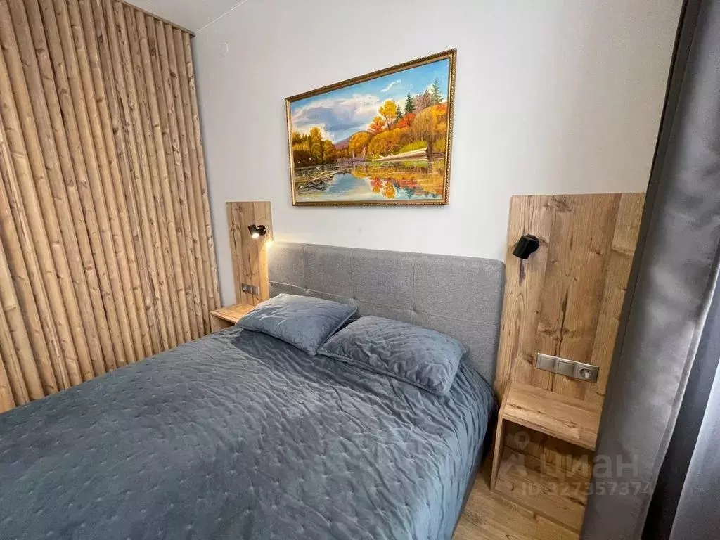 Студия Санкт-Петербург дор. На Турухтанные острова, 5к1 (25.0 м) - Фото 2