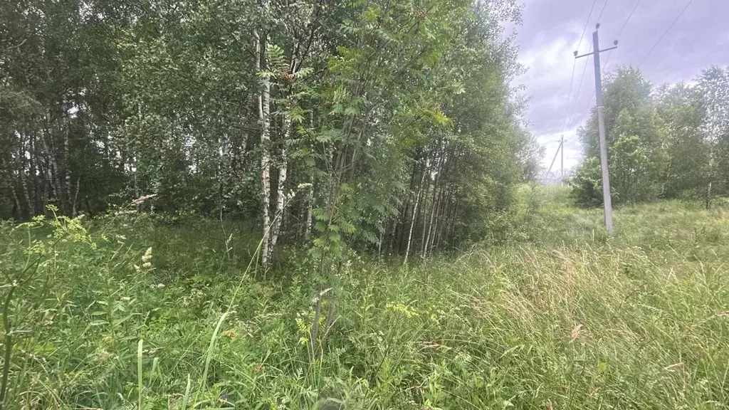 Участок в Московская область, Ступино городской округ, д. Сумароково  ... - Фото 1