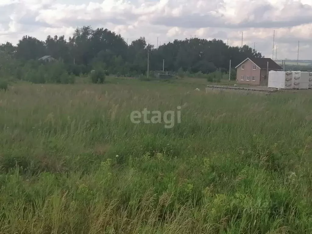 Участок в Нижегородская область, Кстовский муниципальный округ, с. ... - Фото 1