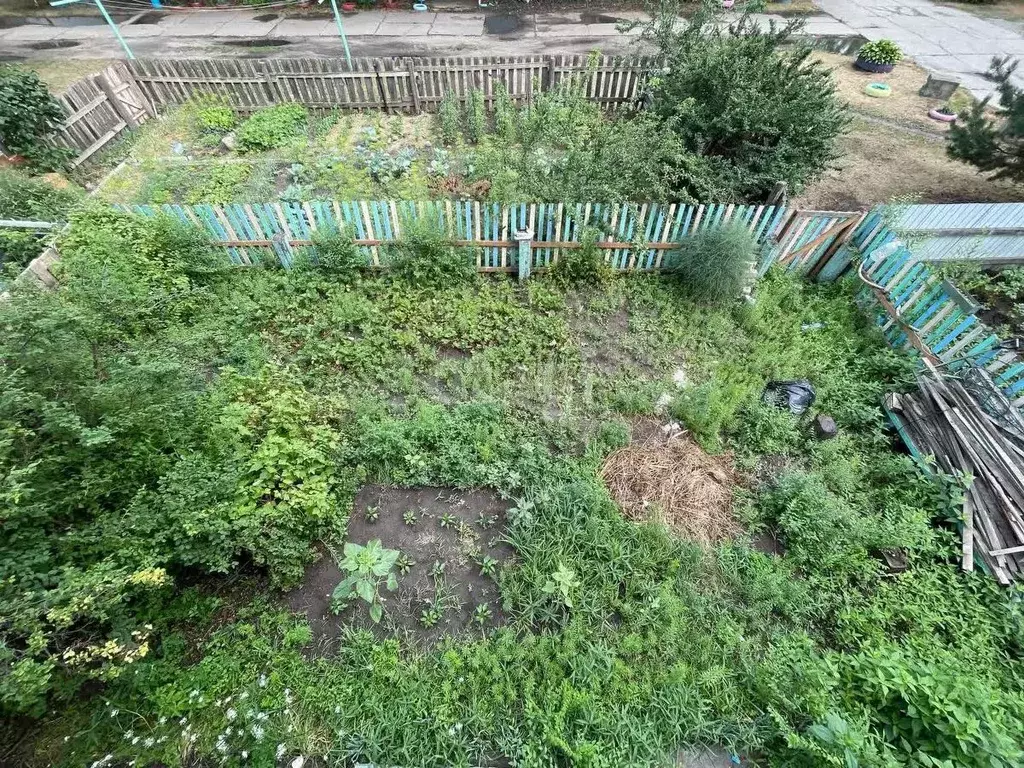 4-к кв. Амурская область, Ивановский муниципальный округ, с. Березовка ... - Фото 1