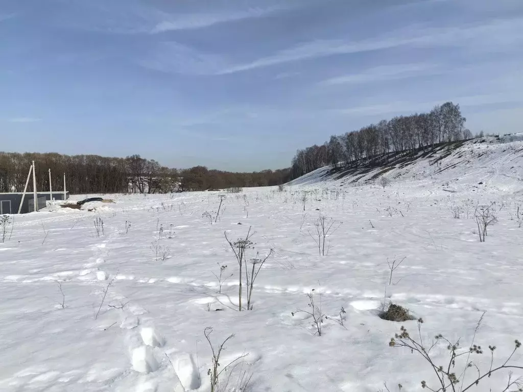 Участок в Москва № 345 кв-л,  (14.03 сот.) - Фото 2