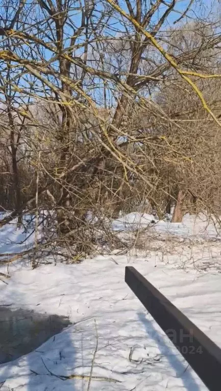 Участок в Московская область, Талдомский городской округ, д. Фоминское ... - Фото 2