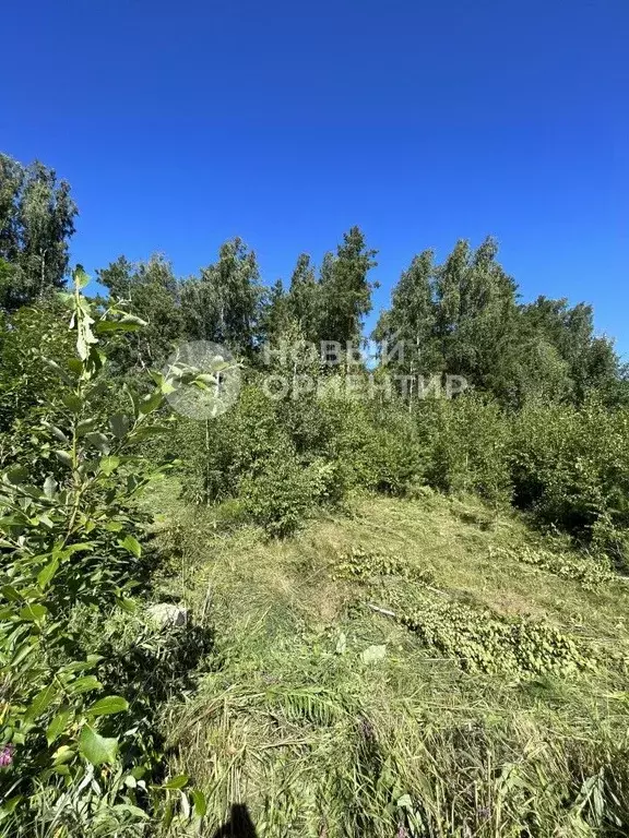 Участок в Свердловская область, Полевской муниципальный округ, с. ... - Фото 0