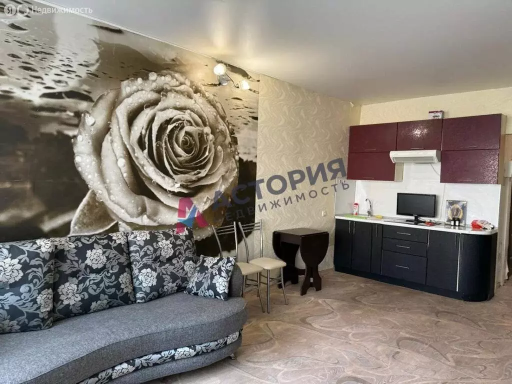 1-комнатная квартира: Осиновая Гора, Уютный проезд, 1 (27.8 м) - Фото 1