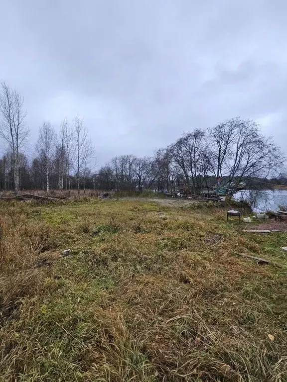 Участок в Ленинградская область, Волховский район, Пашское с/пос, д. ... - Фото 2