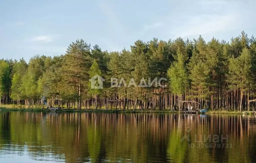 Участок в Ленинградская область, Выборгский район, Полянское с/пос, ... - Фото 1