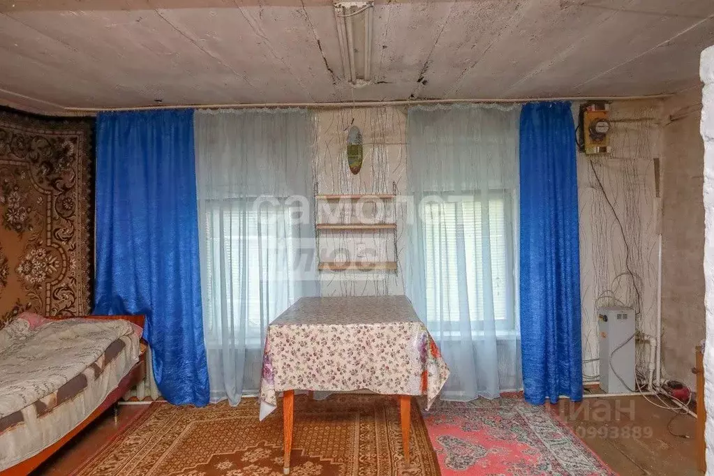 Дом в Челябинская область, Нязепетровск ул. Демьяна Бедного, 8 (33 м) - Фото 2