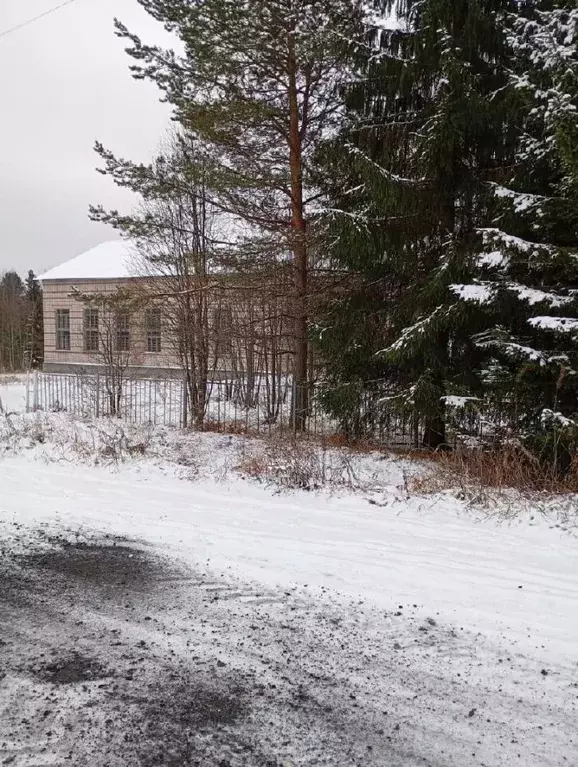 Помещение свободного назначения в Вологодская область, Вожегодский ... - Фото 1