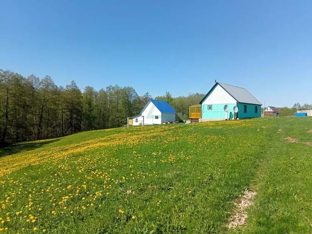 Участок в Башкортостан, Иглинский сельсовет, д. Ягодная ул. Ушакова ... - Фото 0