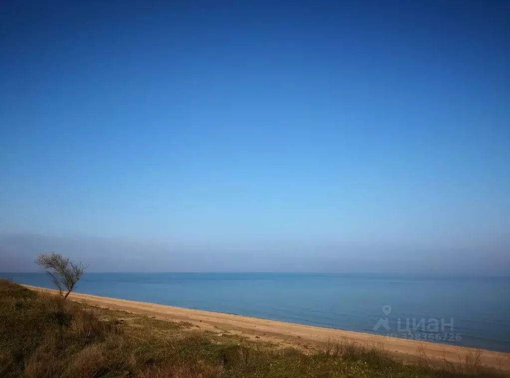 Участок в Крым, Ленинский район, Семисотское с/пос, с. Каменское  (6.0 ... - Фото 1