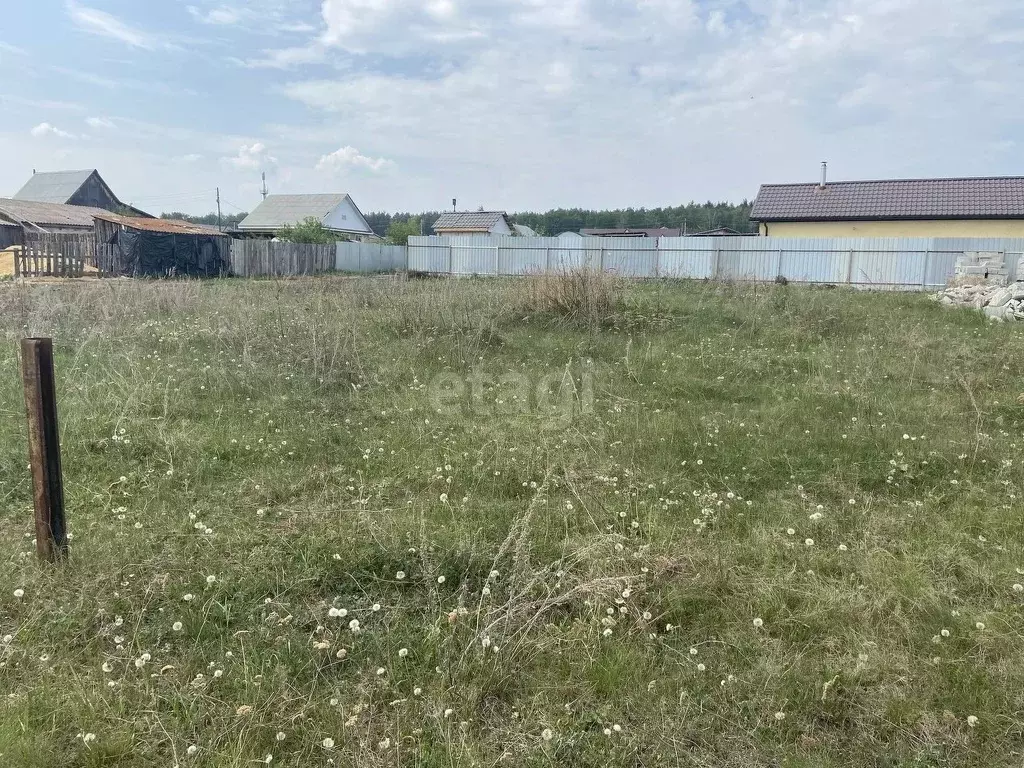 Фото сарафаново 2. Деревня сарафаново чебаркульский. Деревня сарафаново чебаркульский. С сарафаново чебаркульского р-на челябинской обл. Деревня сарафаново чебаркульский.