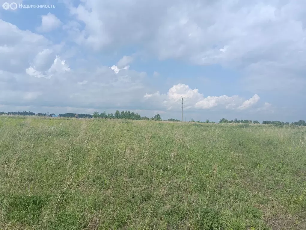 Участок в Алтайский край, городской округ Барнаул, посёлок Центральный ... - Фото 0