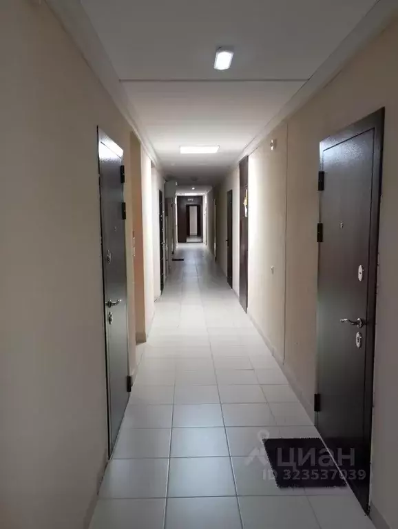 Студия Воронежская область, Воронеж Ленинский просп., 117 (27.0 м) - Фото 1