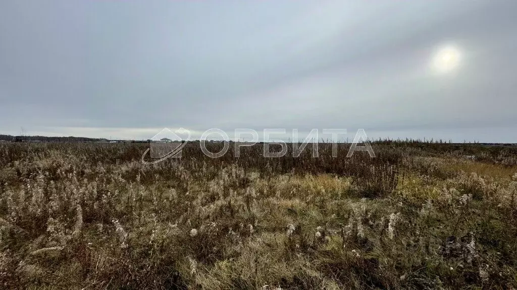 Участок в Тюменская область, Тюменский район, д. Елань 14 (8.0 сот.) - Фото 1